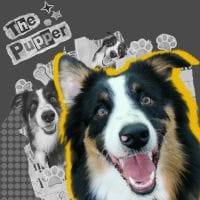 Picture of <strong>Luna</strong> — Prikupna Izvršna Direktorica